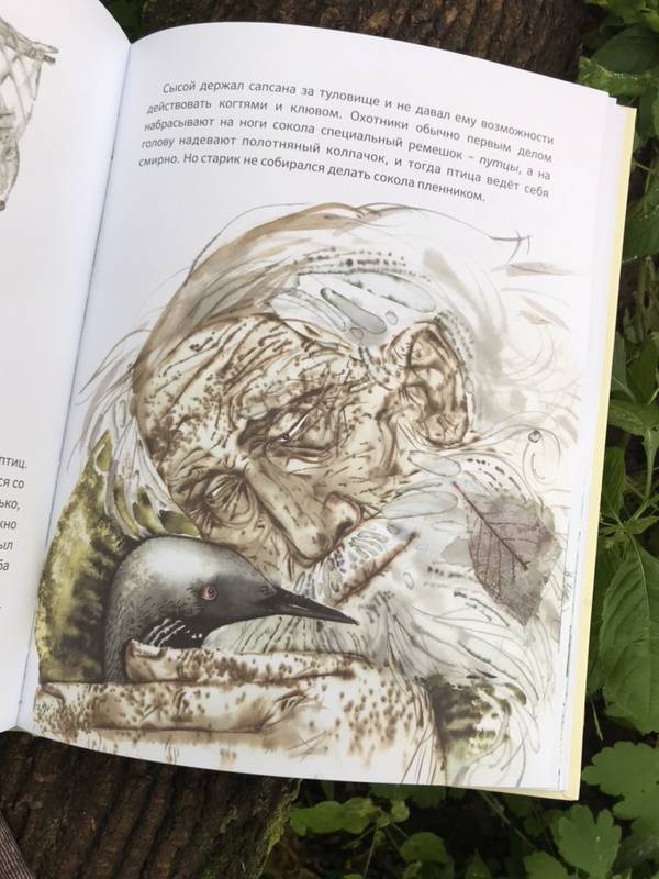 Иллюстрация 79 из 118 для Жила за морем Гагара - Валерий Кастрючин | Лабиринт - книги. Источник: Асель