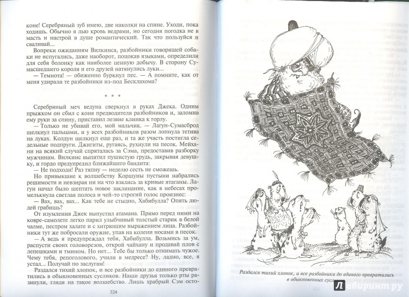 Иллюстрация 24 из 28 для Джек Сумасшедший король - Андрей Белянин | Лабиринт - книги. Источник: Яровая Ирина