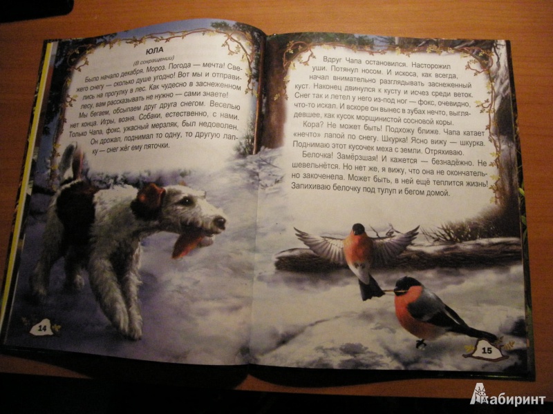 Иллюстрация 7 из 15 для Ребятам о зверятах | Лабиринт - книги. Источник: 1helga