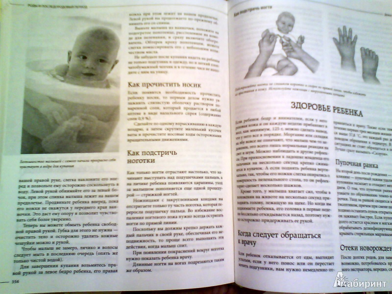Иллюстрация 21 из 21 для Беременность от А до Я. Комплексная консультация будущей мамы по неделям - Кайнер, Нольден | Лабиринт - книги. Источник: Мила
