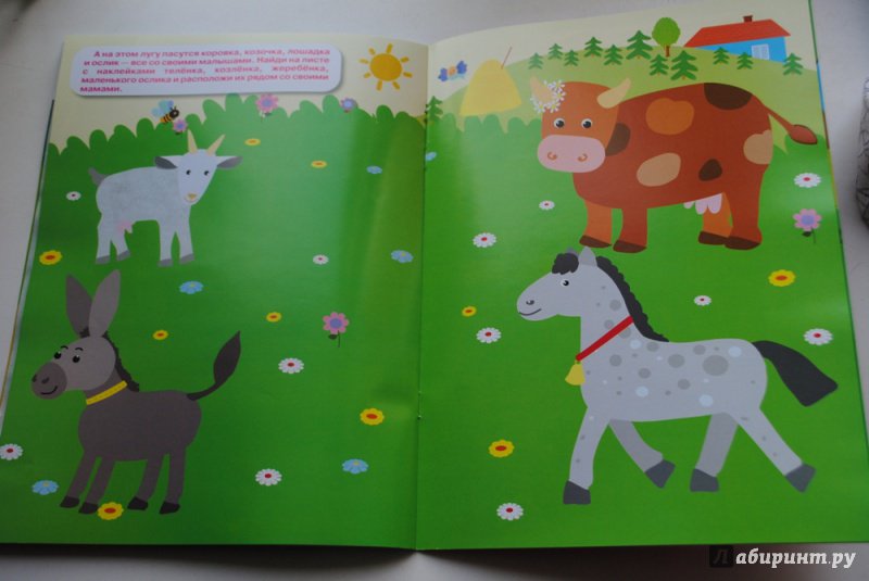 Иллюстрация 8 из 9 для Животные и их детеныши | Лабиринт - книги. Источник: ТаксаГав