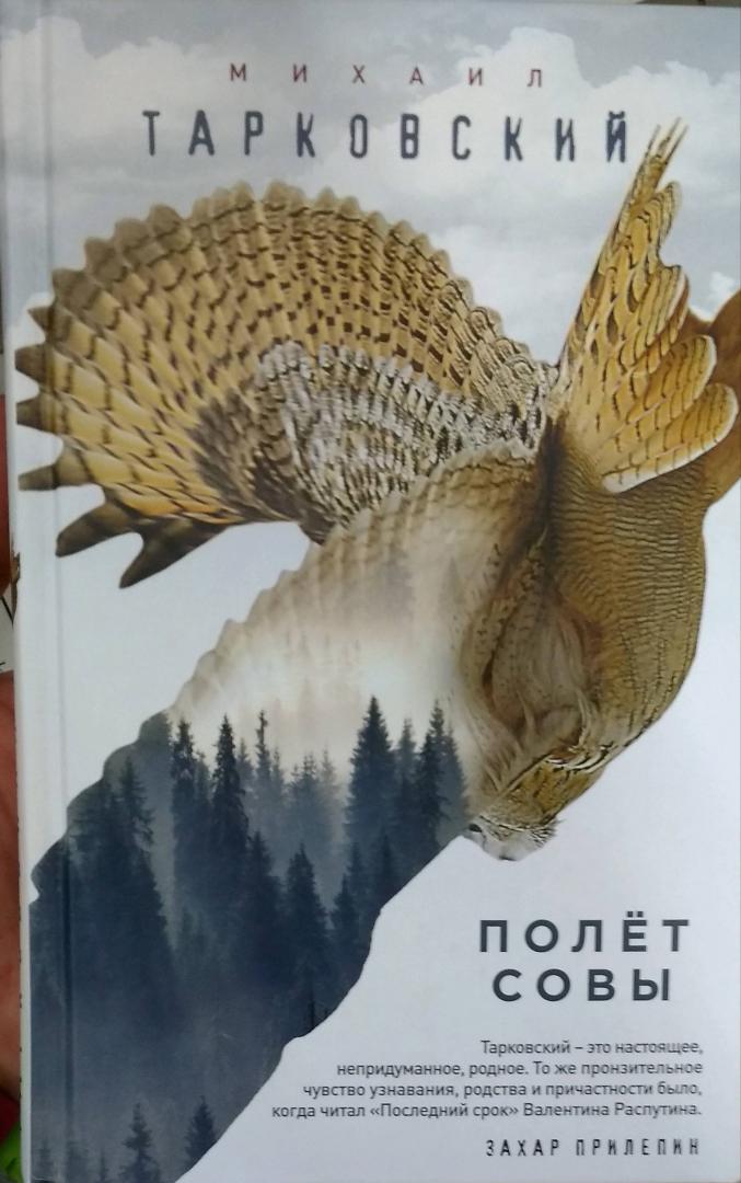 Иллюстрация 25 из 29 для Полёт совы - Михаил Тарковский | Лабиринт - книги. Источник: Hihi
