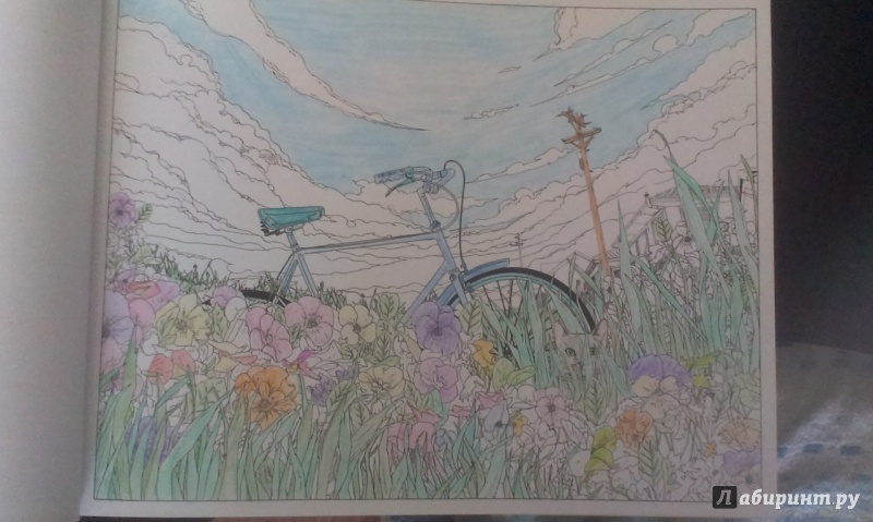 Иллюстрация 80 из 88 для Вокруг света на велосипеде. Раскраска-путешествие на край земли - Дзян Шань | Лабиринт - книги. Источник: springwind492