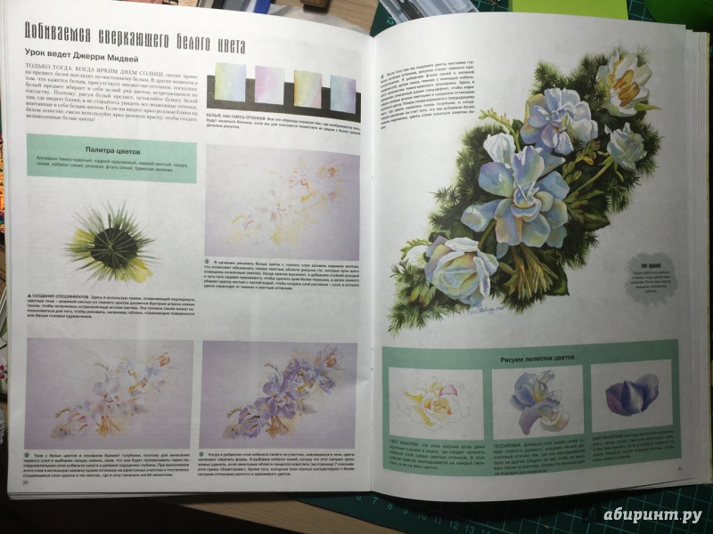 Иллюстрация 9 из 14 для Цветы и растения - Лискотт, Мидвей, Фудерич | Лабиринт - книги. Источник: YanaBoeva