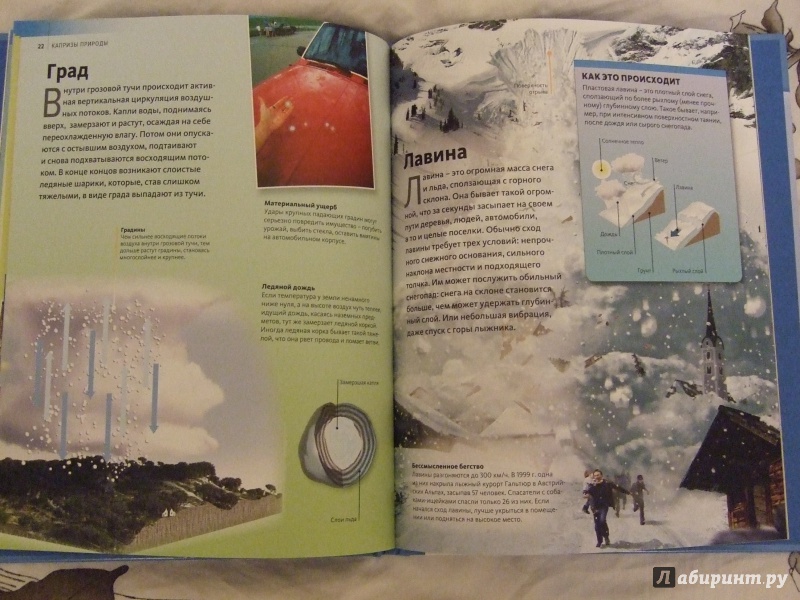 Иллюстрация 8 из 41 для Капризы природы | Лабиринт - книги. Источник: Марченко  Татьяна