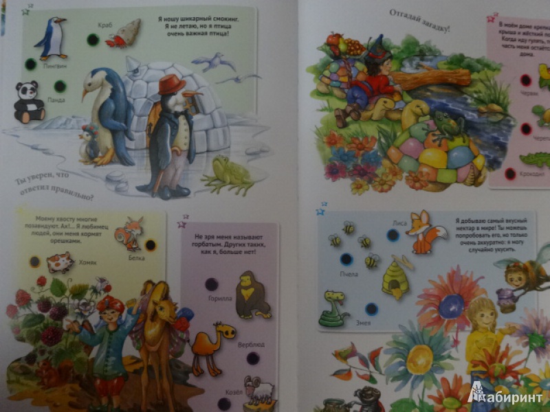 Иллюстрация 12 из 42 для Для малышей загадки о животных | Лабиринт - книги. Источник: Руматочка
