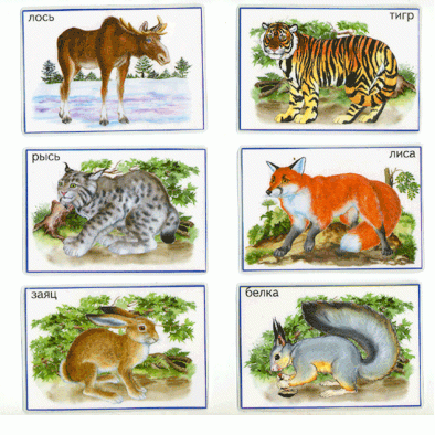 Иллюстрация 2 из 8 для Лото: Дикие животные России 685 (350х500) | Лабиринт - игрушки. Источник: РИВА