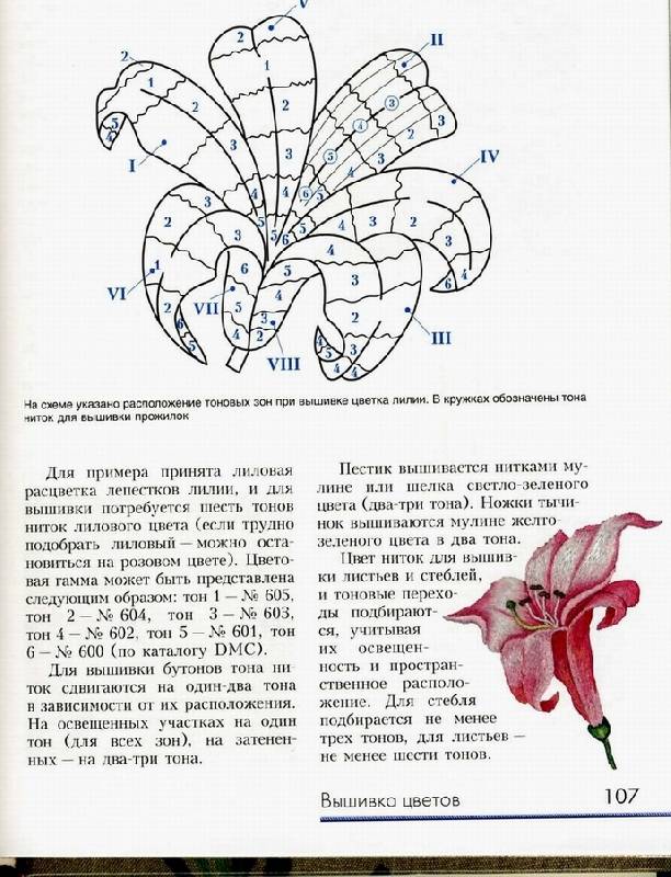 Иллюстрация 2 из 10 для Живописная вышивка гладью. Цветы и плоды - Вероника Королева | Лабиринт - книги. Источник: Panterra