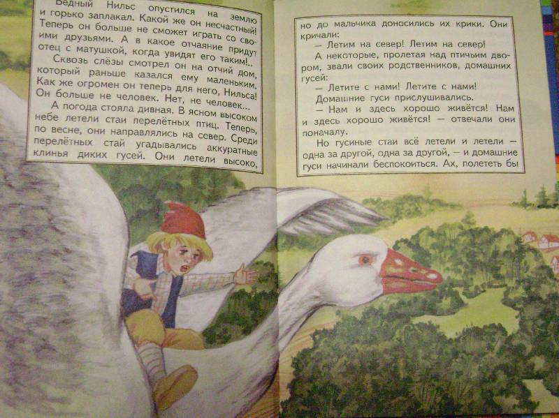 Иллюстрация 31 из 33 для Путешествие Нильса с дикими гусями - Сельма Лагерлеф | Лабиринт - книги. Источник: Batterfly