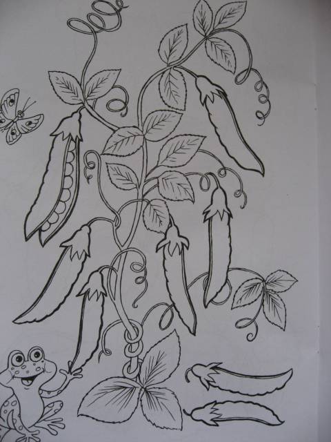 Иллюстрация 13 из 16 для Что растет в саду | Лабиринт - книги. Источник: svemikh