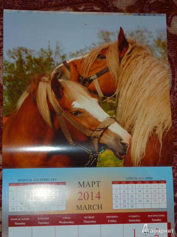 Иллюстрация 6 из 16 для Календарь 2014 "Год лошади" | Лабиринт - сувениры. Источник: Шубина  Диана Владимировна
