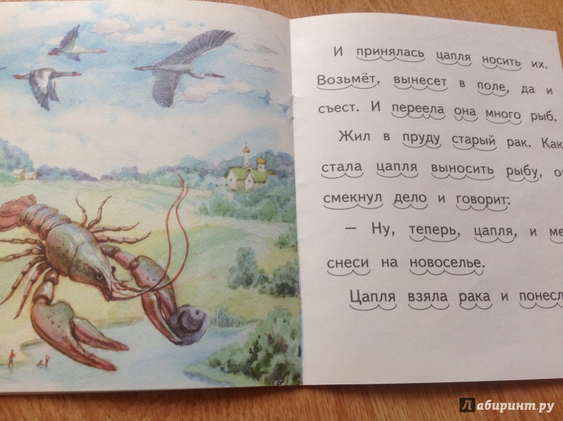 Иллюстрация 5 из 22 для Лисий хвост - Лев Толстой | Лабиринт - книги. Источник: Буторина  Маргарита