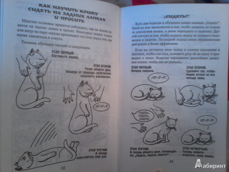 Иллюстрация 6 из 35 для Как жить с кошкой-невротиком - Стивен Бейкер | Лабиринт - книги. Источник: ЕкаШапка