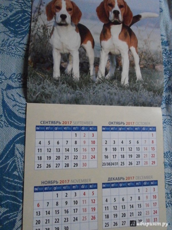 Иллюстрация 4 из 17 для Календарь на 2018 год "Год собаки" (70820) | Лабиринт - сувениры. Источник: Tiger.