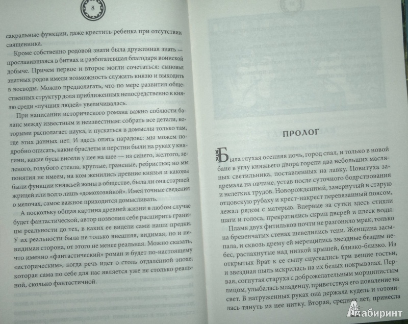 Иллюстрация 6 из 9 для Лесная невеста - Елизавета Дворецкая | Лабиринт - книги. Источник: Леонид Сергеев