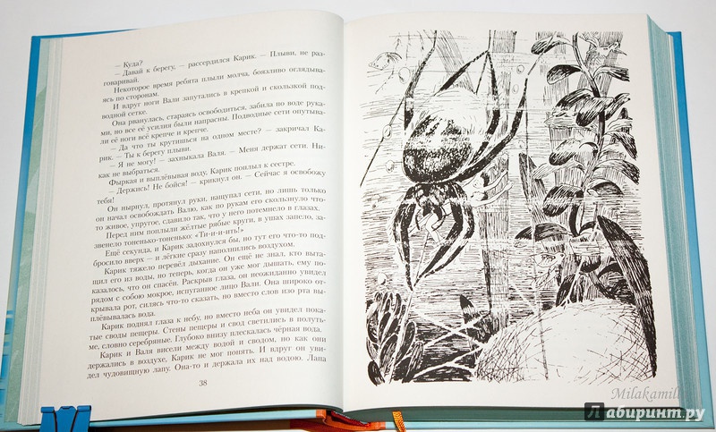 Иллюстрация 67 из 101 для Необыкновенные приключения Карика и Вали - Ян Ларри | Лабиринт - книги. Источник: Букландия