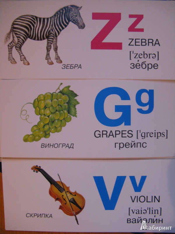 Иллюстрация 4 из 5 для Азбука в картинках на английском языке. Набор карточек | Лабиринт - игрушки. Источник: Rusalochka-777