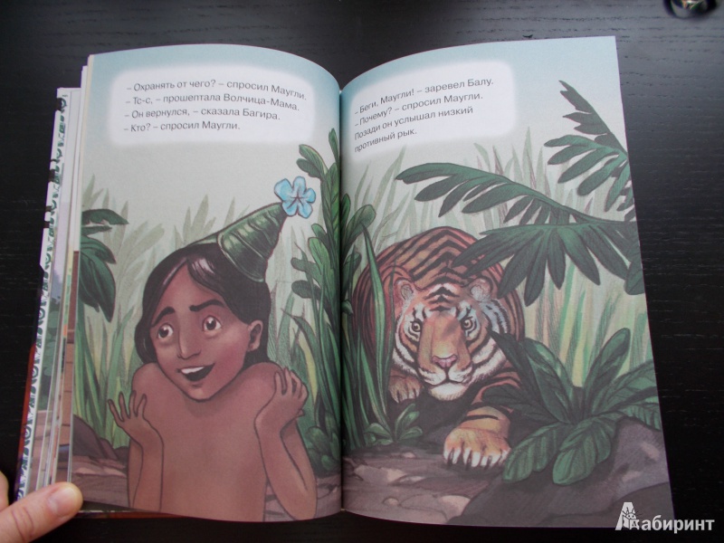 Иллюстрация 10 из 25 для Книга джунглей - Редьярд Киплинг | Лабиринт - книги. Источник: Гарбуз  Станислав Александрович