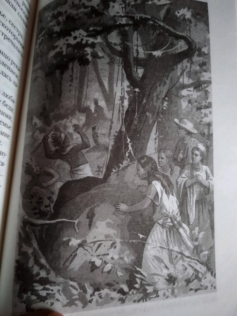 Иллюстрация 40 из 41 для Зверобой - Джеймс Купер | Лабиринт - книги. Источник: Лабиринт