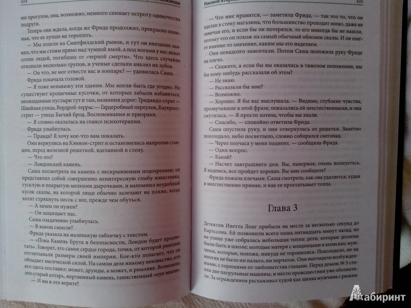 Иллюстрация 16 из 37 для Близнецы. Черный понедельник. Роковой вторник - Никки Френч | Лабиринт - книги. Источник: Ремизова Нина