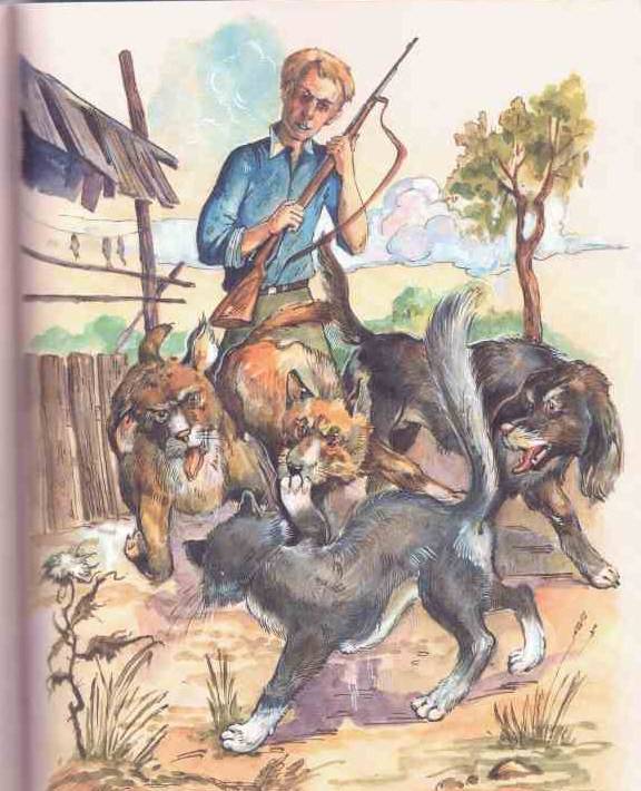 Иллюстрация 14 из 19 для Рассказы о животных - Борис Житков | Лабиринт - книги. Источник: tsylpyry