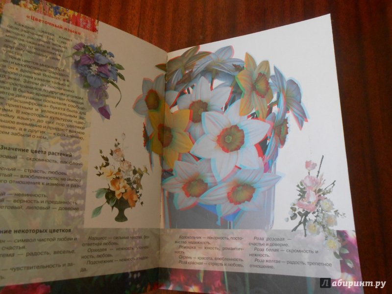 Иллюстрация 14 из 16 для Цветы. 3D | Лабиринт - книги. Источник: Леан