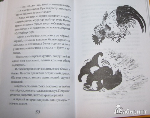 Иллюстрация 4 из 6 для Кошка Маруська - Евгений Чарушин | Лабиринт - книги. Источник: С.  Надежда