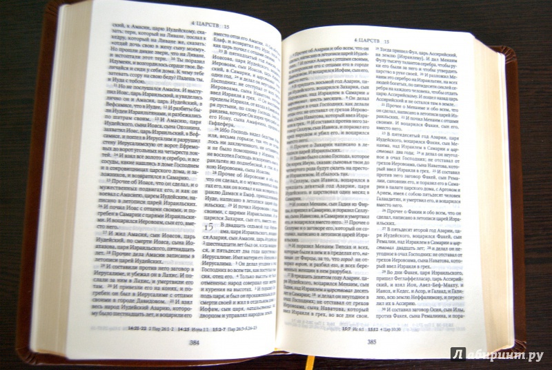 Иллюстрация 8 из 8 для Библия. Книги Священного Писания Ветхого и Нового Завета | Лабиринт - книги. Источник: Swanko