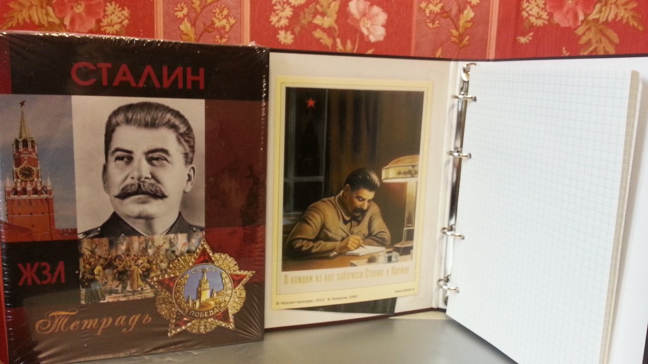 Иллюстрация 17 из 26 для Тетрадь на кольцах "ЖЗЛ. Сталин" (120 листов, А5, клетка) | Лабиринт - канцтовы. Источник: Колхозstyle