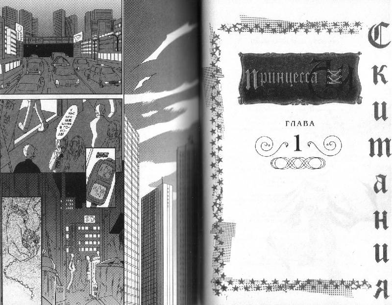 Иллюстрация 7 из 14 для Принцесса Аи. Книга 1. Скитания - Мисахо Кудзирадо | Лабиринт - книги. Источник: DeadNK