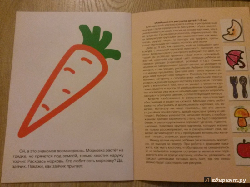 Иллюстрация 7 из 11 для Овощи | Лабиринт - книги. Источник: Панченко  Анна