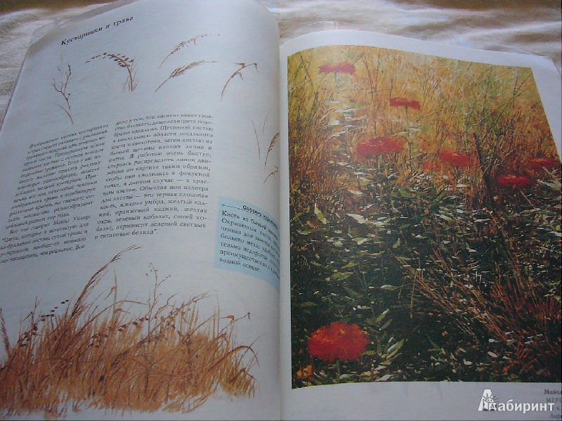 Иллюстрация 7 из 23 для Рисунок акриловыми красками - Вики Лорд | Лабиринт - книги. Источник: Nika