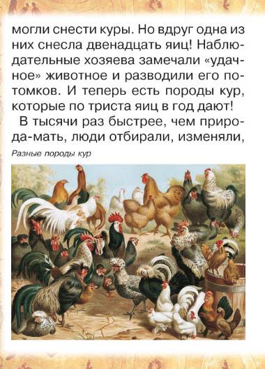 Иллюстрация 27 из 31 для Животные: помощники и друзья - Инна Гамазкова | Лабиринт - книги. Источник: Золотая рыбка