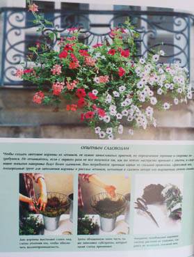 Иллюстрация 21 из 25 для Зеленые хиты сада - Ульяна Анапова | Лабиринт - книги. Источник: Lena