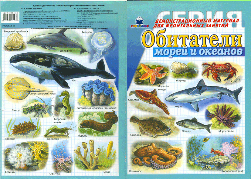 Иллюстрация 3 из 10 для Обитатели морей и океанов | Лабиринт - книги. Источник: РИВА