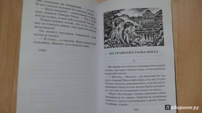 Иллюстрация 26 из 47 для Тимур и его команда - Аркадий Гайдар | Лабиринт - книги. Источник: Елена Ка