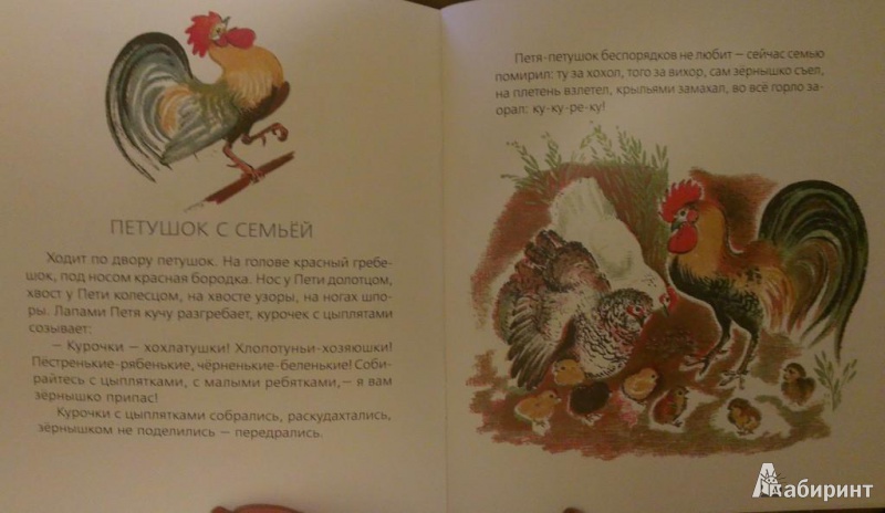 Иллюстрация 3 из 29 для Бишка - Константин Ушинский | Лабиринт - книги. Источник: Katty