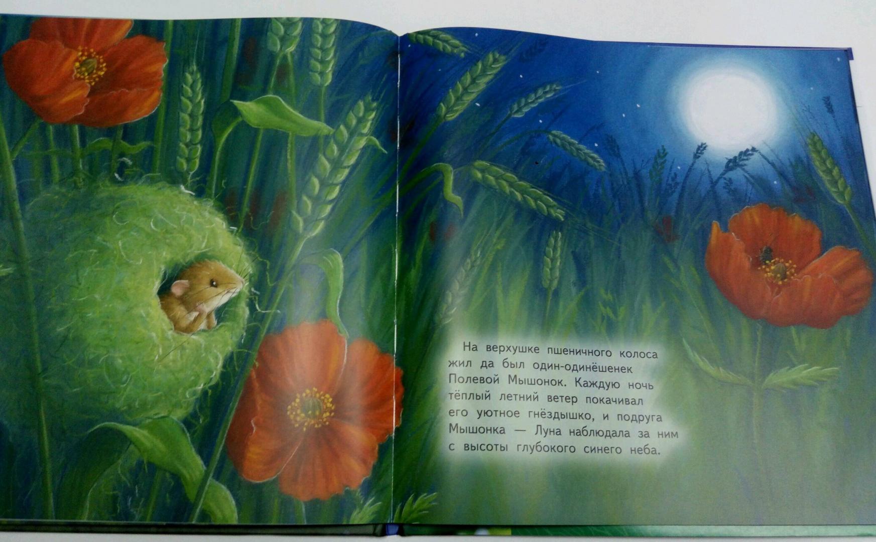 Иллюстрация 10 из 15 для Мышонок и Луна - М. Батлер | Лабиринт - книги. Источник: Дива