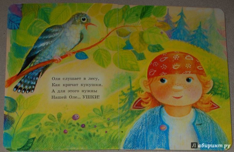 Иллюстрация 8 из 32 для Олины помощники - Екатерина Карганова | Лабиринт - книги. Источник: Книжный кот
