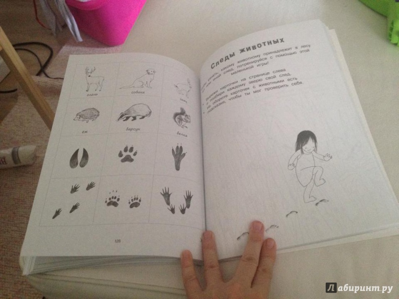 Иллюстрация 16 из 33 для Я учусь с Montessori - Эва Эррманн | Лабиринт - книги. Источник: Boegaeva  Julia Прямой Телефон 0032488350110