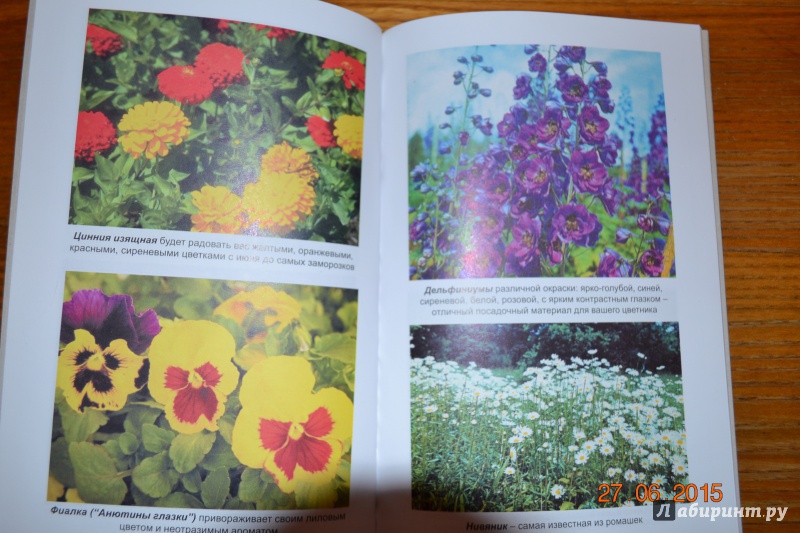 Иллюстрация 22 из 26 для Благоухающие цветы в вашем саду - Владимир Железнев | Лабиринт - книги. Источник: Белоус Марина