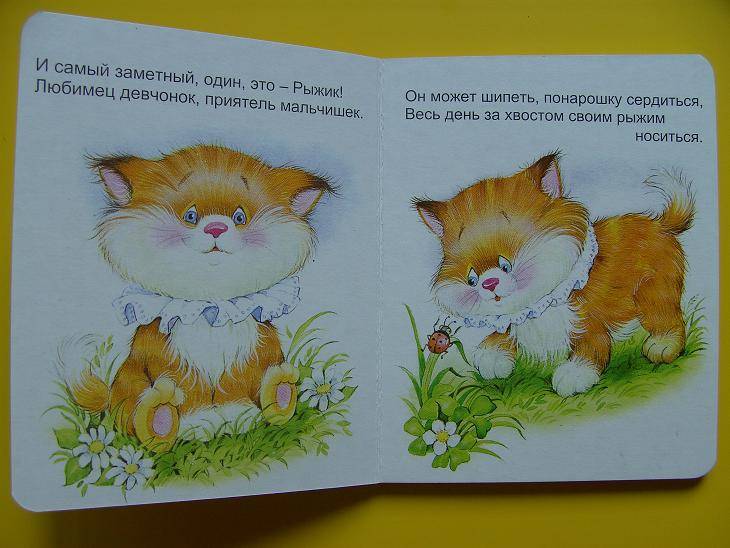 Иллюстрация 1 из 19 для Котенок Рыжик - Владимир Борисов | Лабиринт - книги. Источник: мама малыша