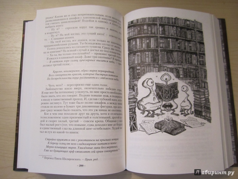 Иллюстрация 38 из 73 для Город Мечтающих Книг - Вальтер Моэрс | Лабиринт - книги. Источник: Helga1990