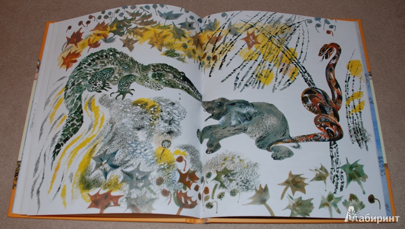 Иллюстрация 20 из 45 для Сказки с далеких берегов - Редьярд Киплинг | Лабиринт - книги. Источник: Книжный кот