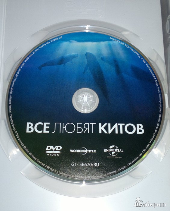 Иллюстрация 3 из 3 для Все любят китов (DVD) - Кен Куопис | Лабиринт - . Источник: Леонид Сергеев