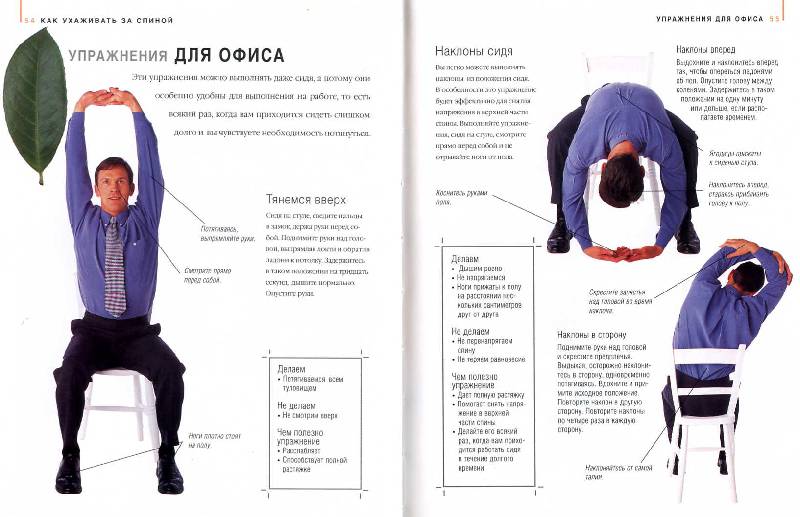 Иллюстрация 5 из 5 для Ваша спина. Практические советы по всем аспектам ухода за вашей спиной - Хобден, Дул, Такер | Лабиринт - книги. Источник: Росинка
