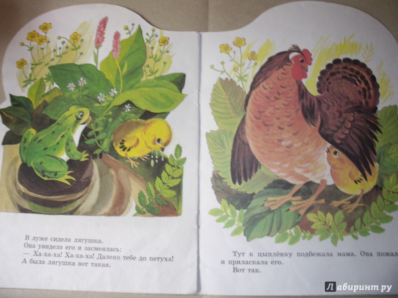 Иллюстрация 15 из 16 для Цыпленок - Корней Чуковский | Лабиринт - книги. Источник: Tiger.