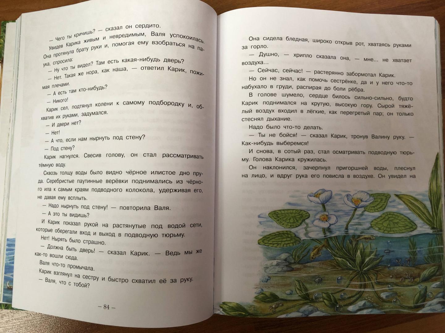 Иллюстрация 64 из 95 для Необыкновенные приключения Карика и Вали - Ян Ларри | Лабиринт - книги. Источник: ДинаЛана