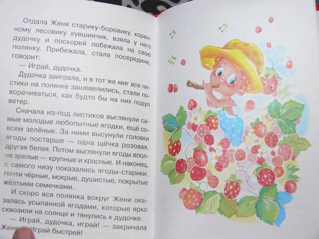 Иллюстрация 17 из 29 для Цветик-семицветик - Валентин Катаев | Лабиринт - книги. Источник: Irbis