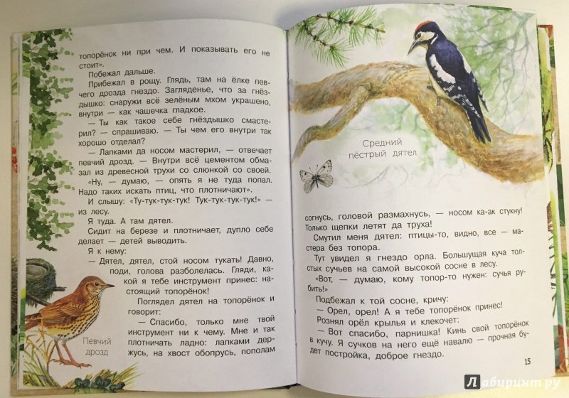 Иллюстрация 8 из 71 для Лесные домишки - Виталий Бианки | Лабиринт - книги. Источник: Лабиринт